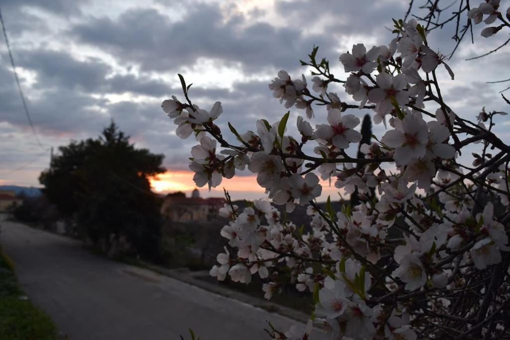 O Palaios Fournos Tou Andrea Apartamento Argostoli  Exterior foto