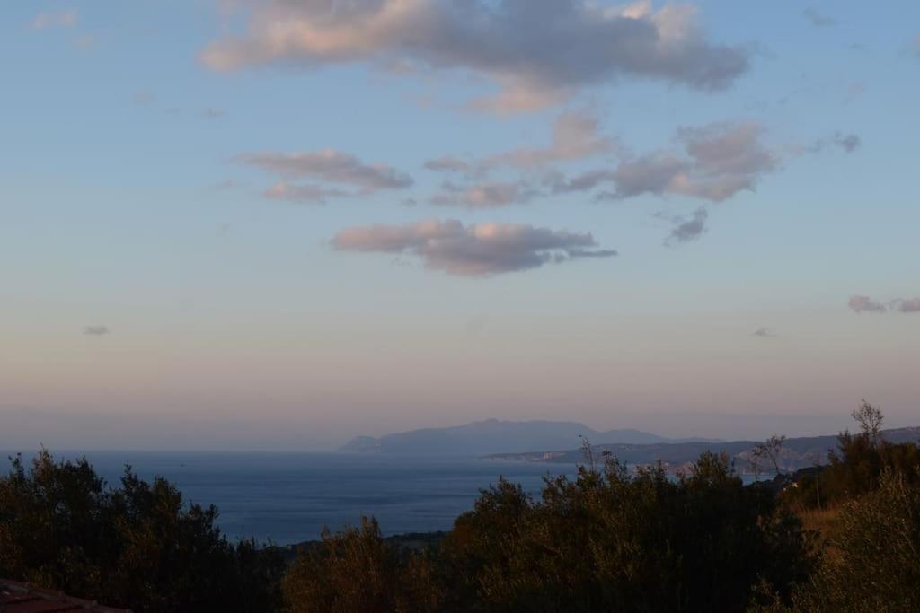 O Palaios Fournos Tou Andrea Apartamento Argostoli  Exterior foto