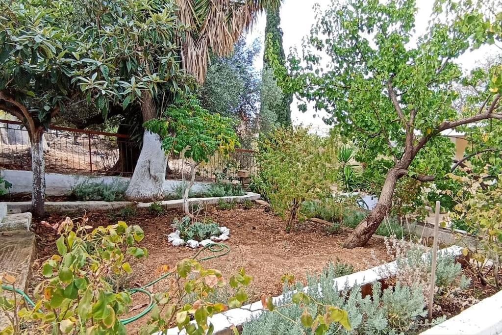 O Palaios Fournos Tou Andrea Apartamento Argostoli  Exterior foto